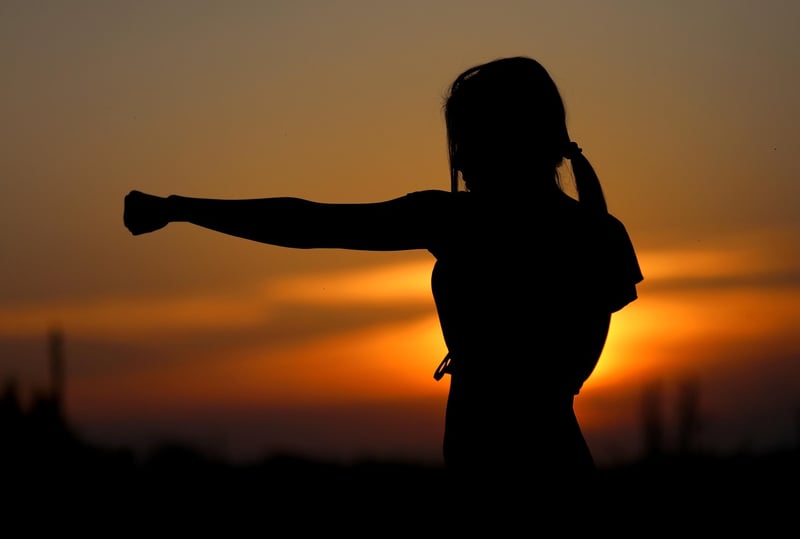 Flowing Martial Arts